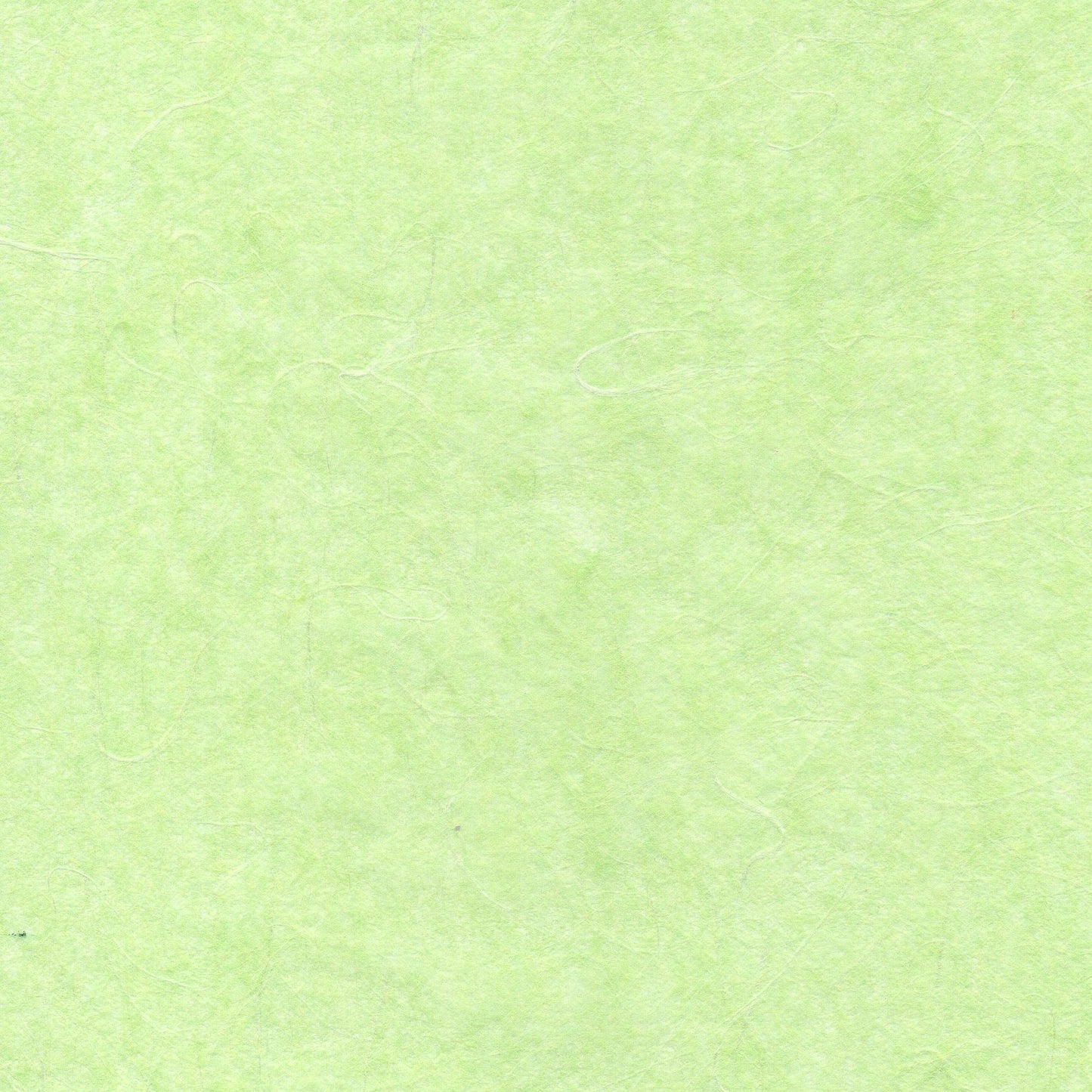 Thin paper, plain paper / Silty Unryu 25, 1 sheet