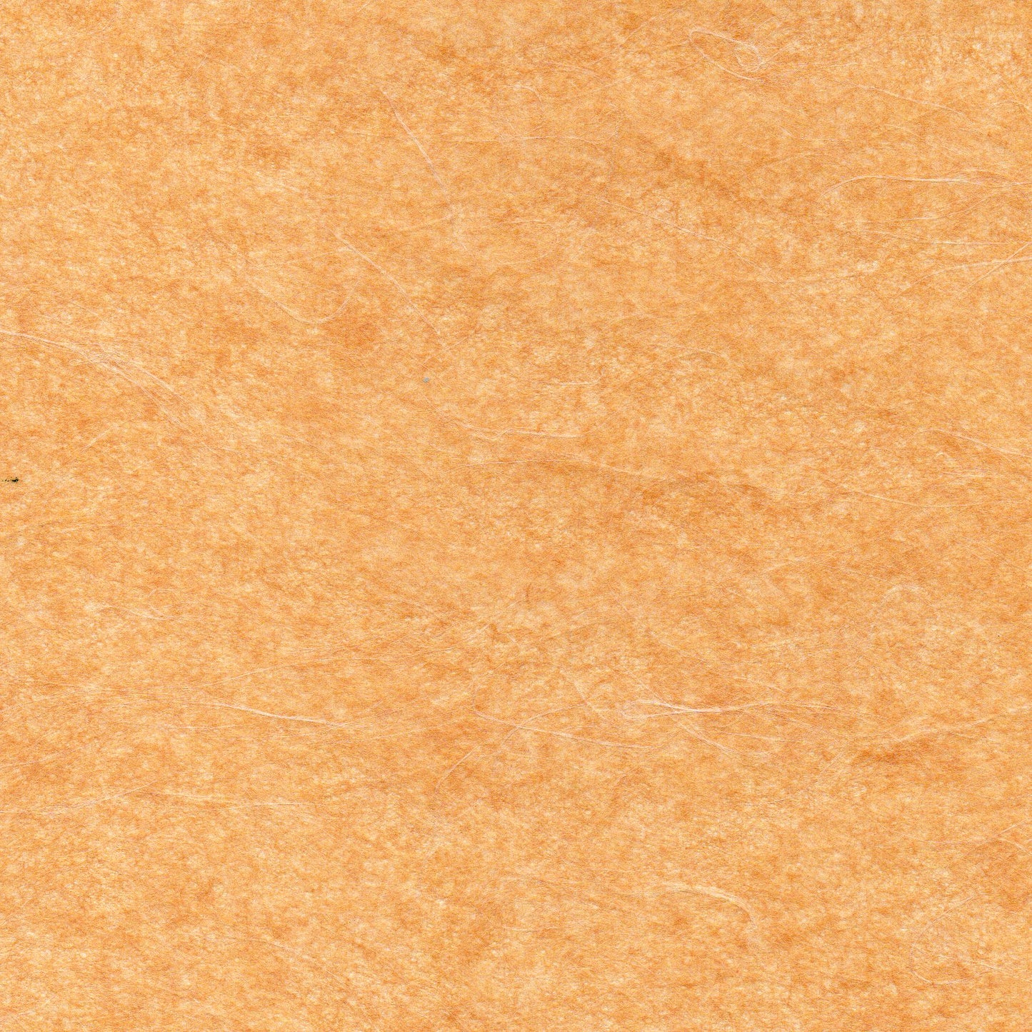 Thin paper, plain paper / Silty Unryu 25, 1 sheet