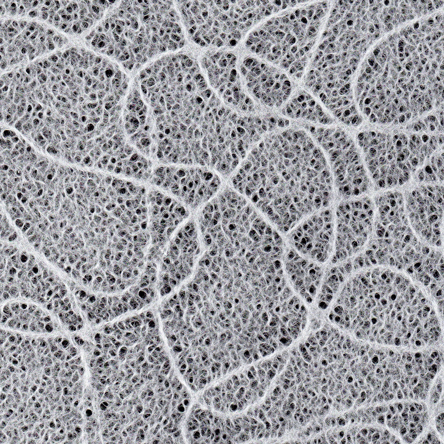 Lace-like thin paper / Floating clouds (Ukigumo) 1 sheet