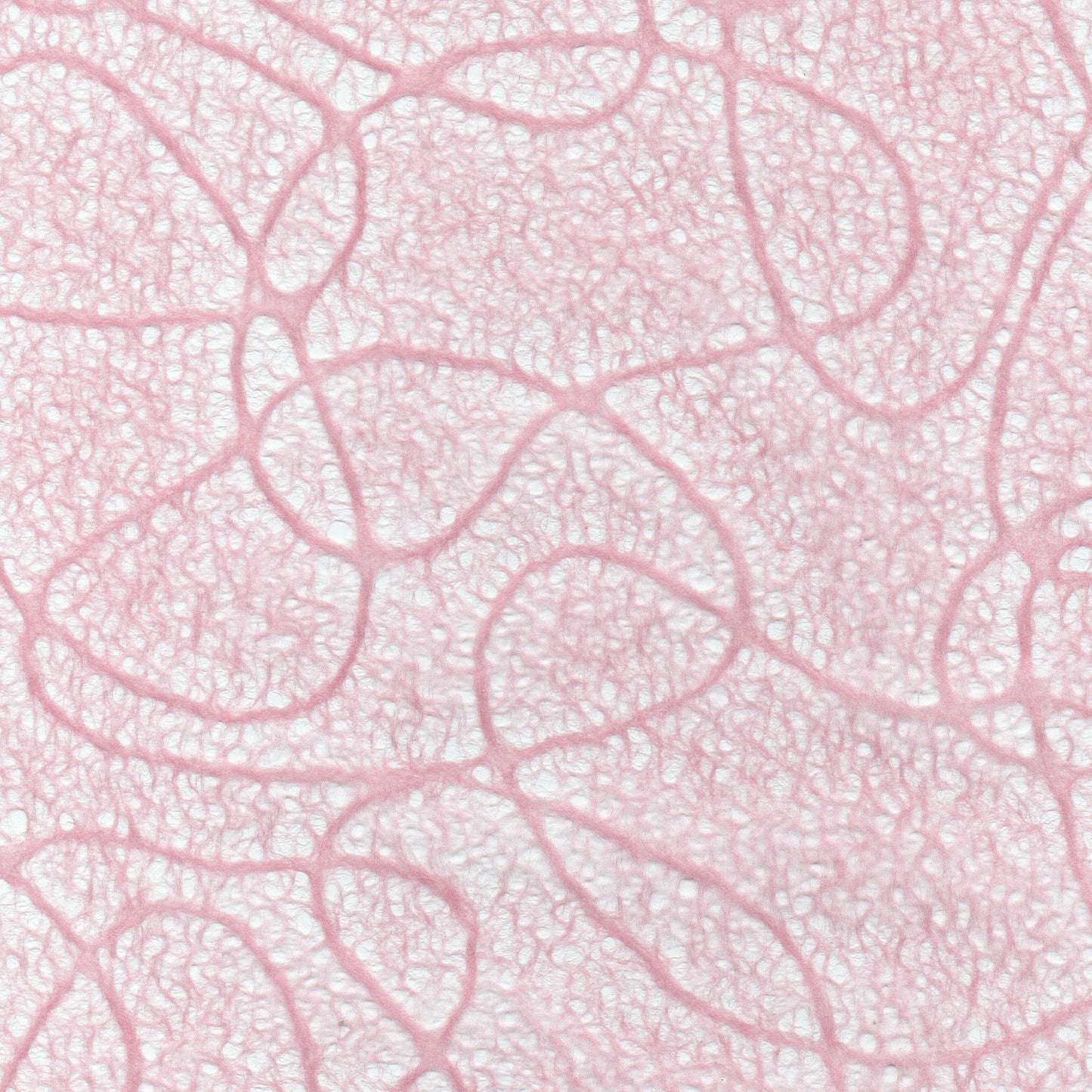 Lace-like thin paper / Floating clouds (Ukigumo) 1 sheet
