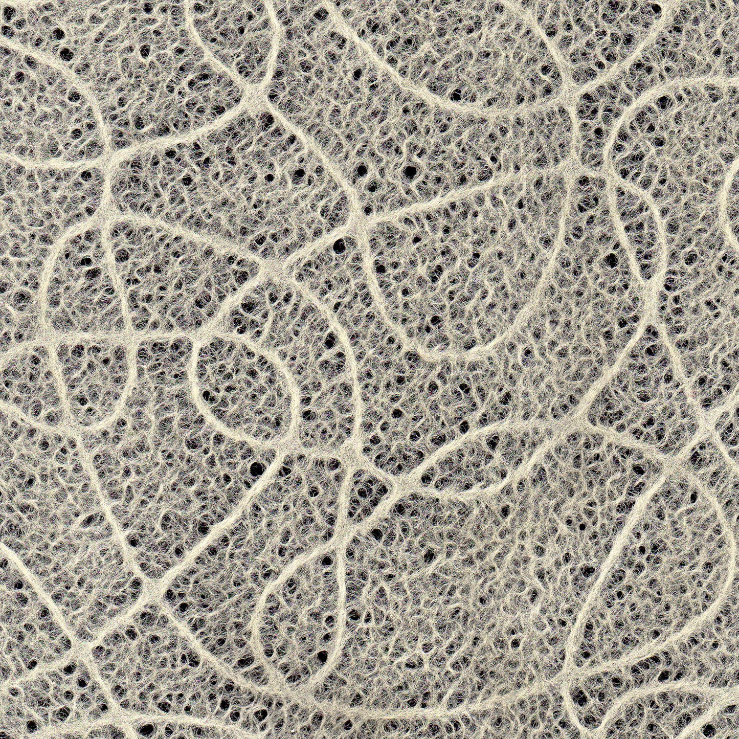 Lace-like thin paper / Floating clouds (Ukigumo) 1 sheet