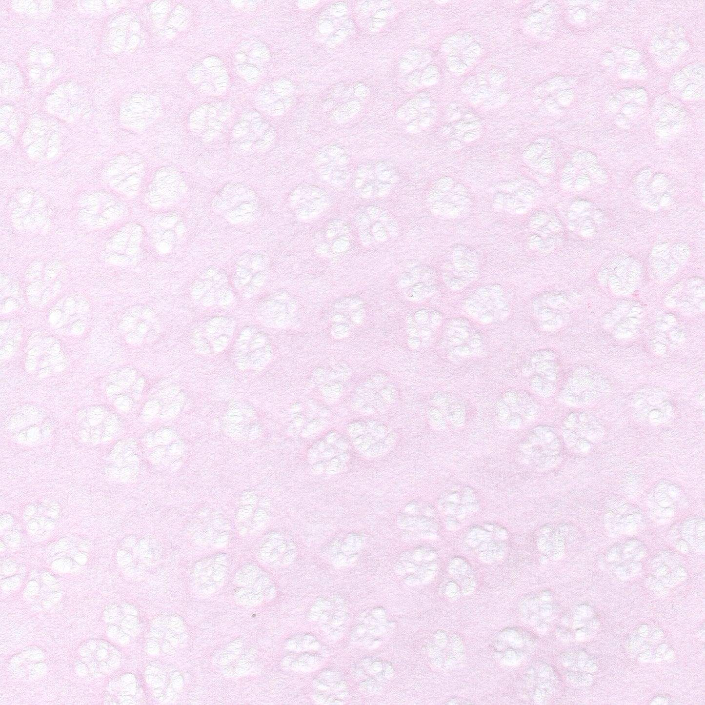 10 sheets of plain paper