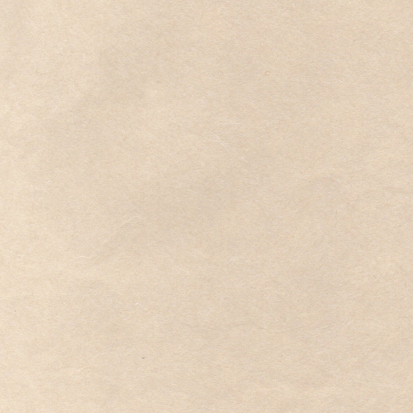 C'est amusant à faire ! Réaliser un « Goshuincho » original