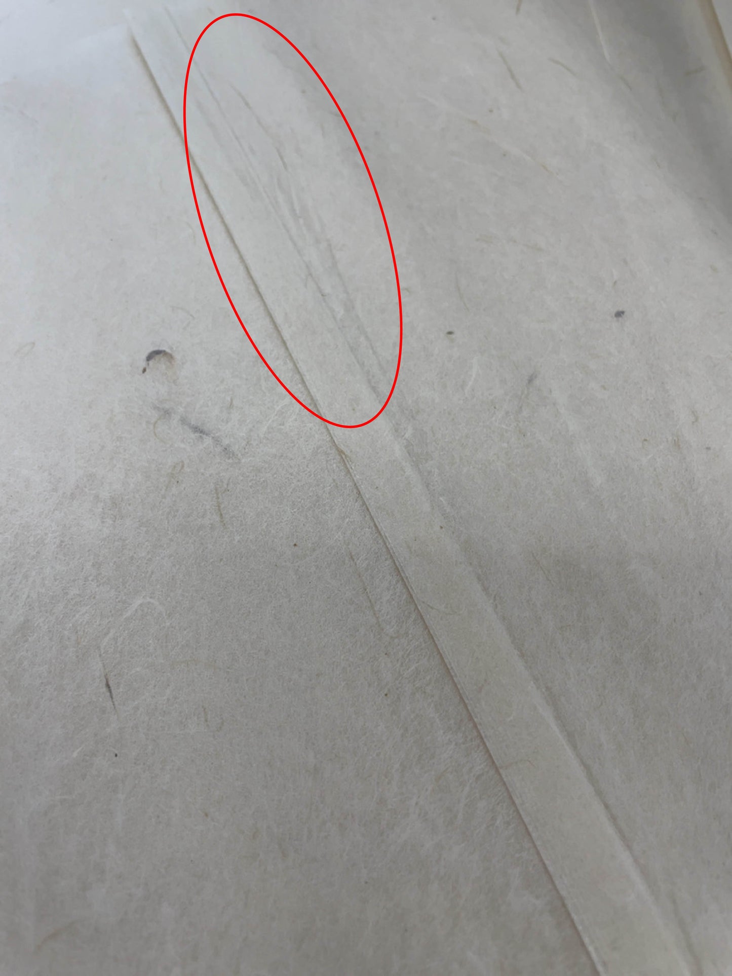 【訳あり】こうぞラミネート袋