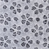 Small roll/White Rakusui Washi paper 10m