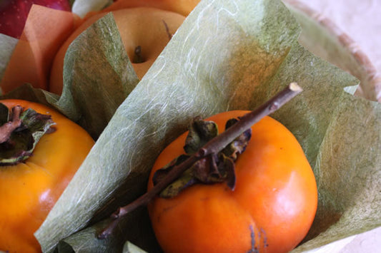 カット紙 特選くだもの敷き紙 Sサイズ 50枚入