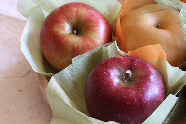 カット紙 特選くだもの敷き紙 Sサイズ 50枚入