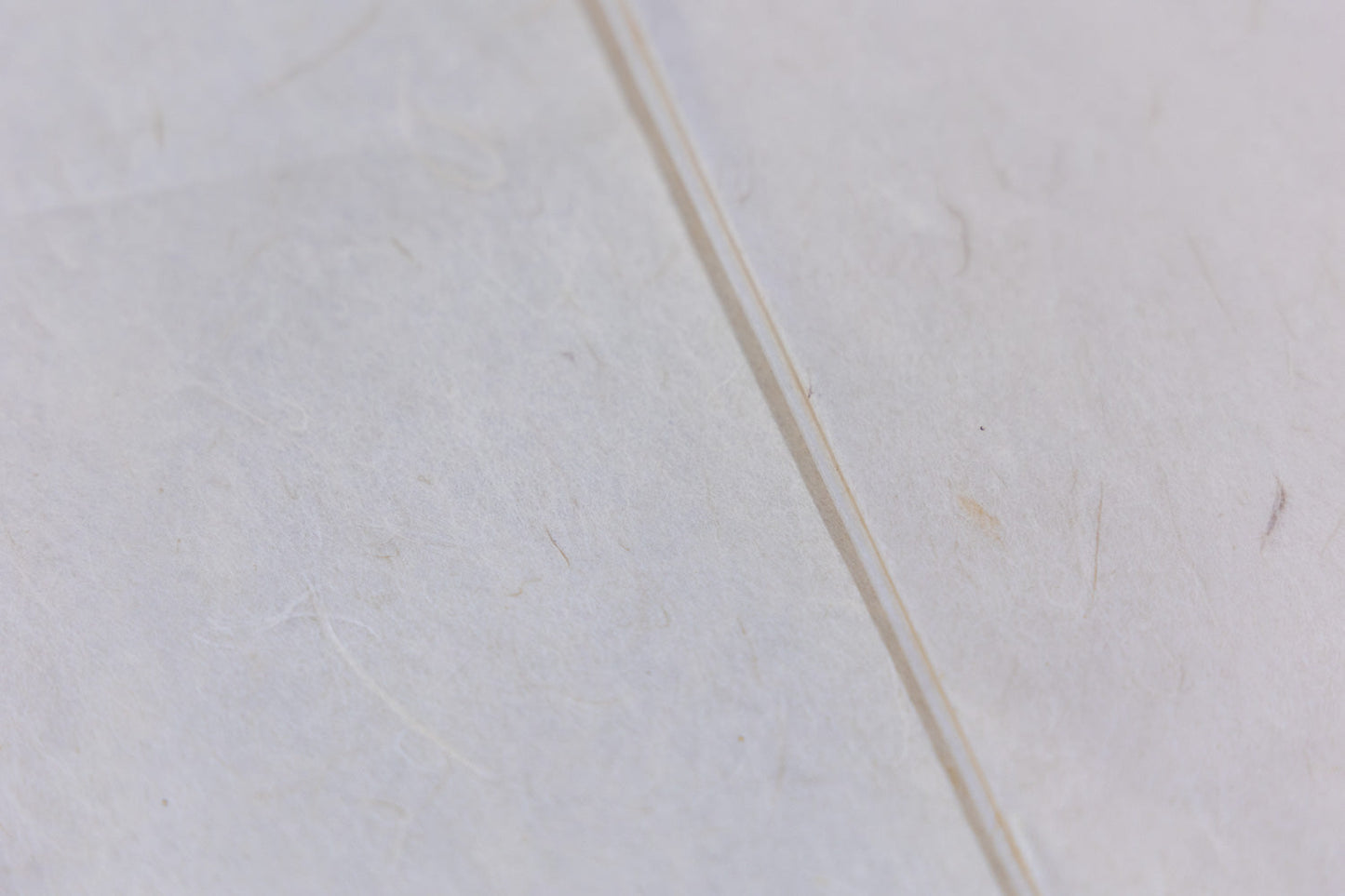 【訳あり】こうぞラミネート袋