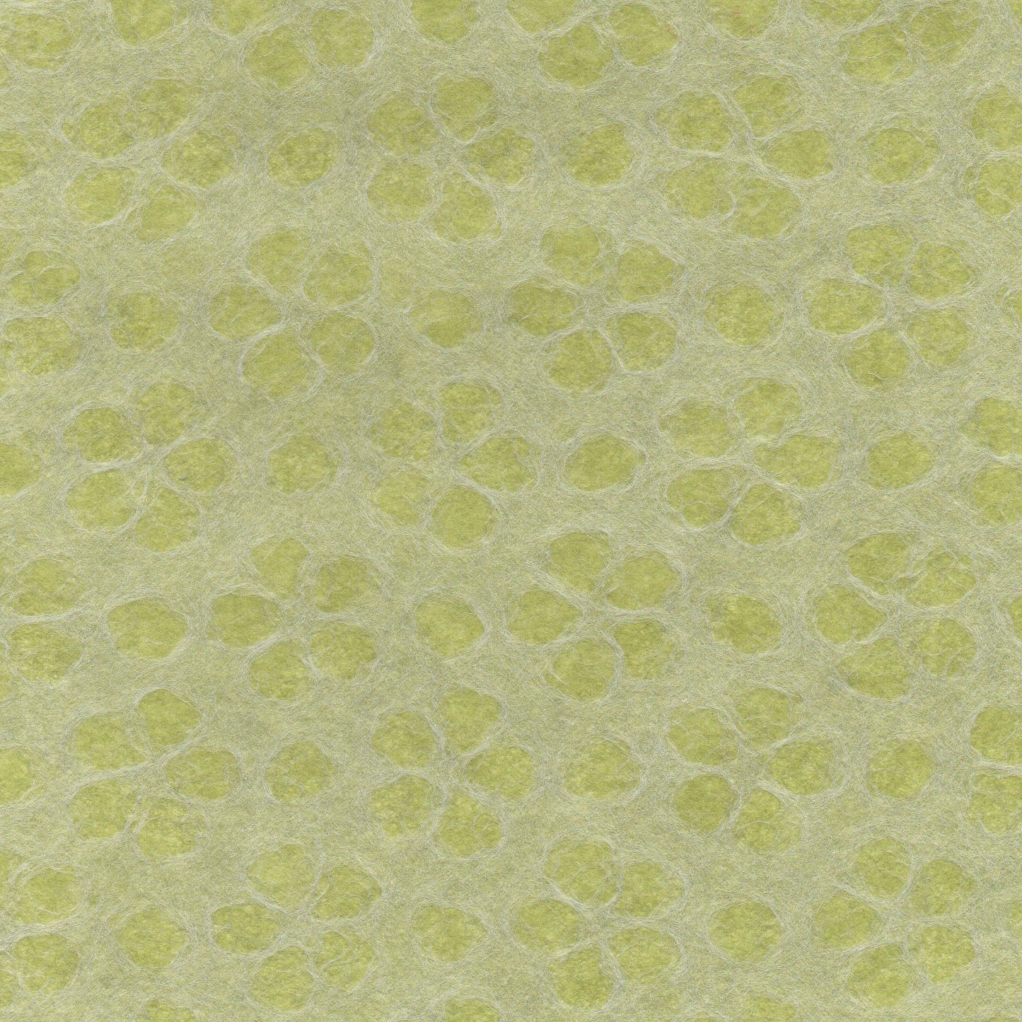 中身の見えるラッピング箱を作ってみよう