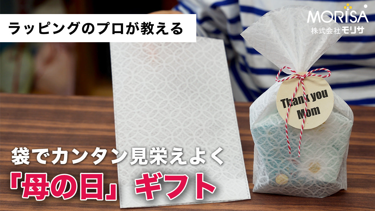 【送料込】袋でカンタン見栄えよく「母の日」ギフト