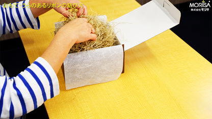 How to wrap a Christmas fir tree